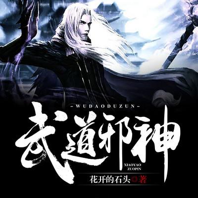 武道邪神简介