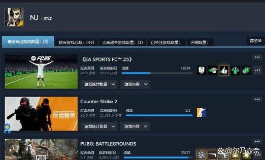 cs2 steam-DT