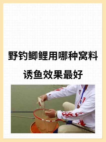 冰钓打窝能诱来鱼吗