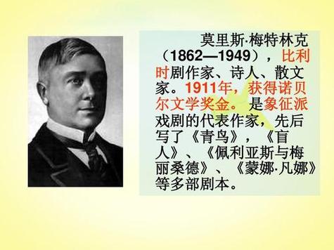 青鸟的作者介绍简介