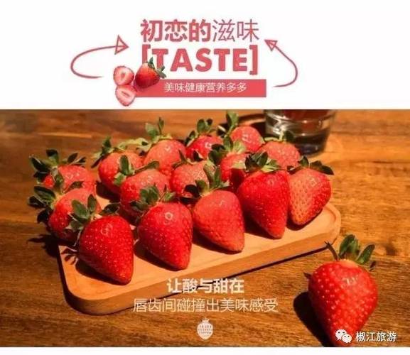 美味初恋电视剧免费播放