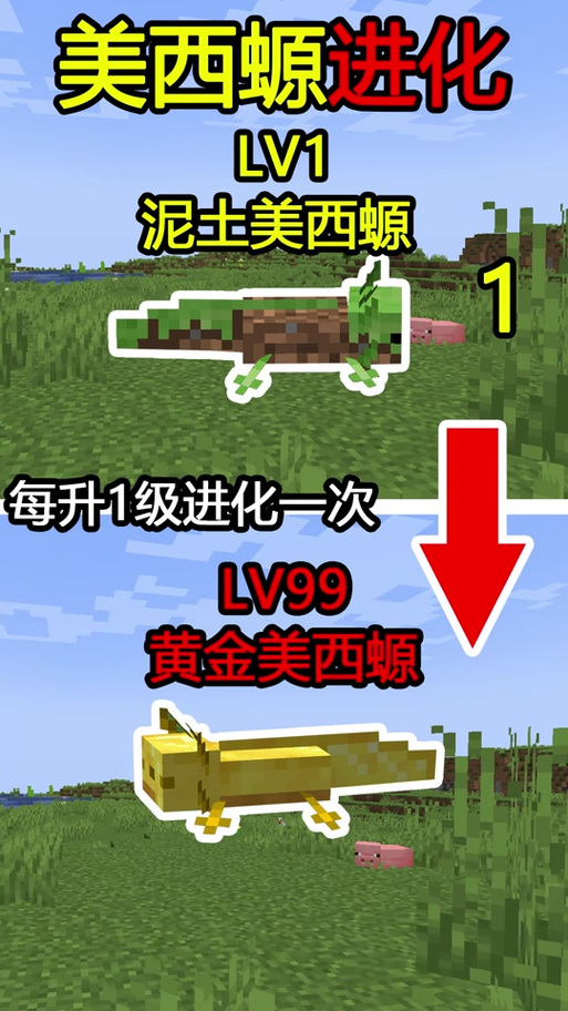 Java版蓝色美西螈召唤教程