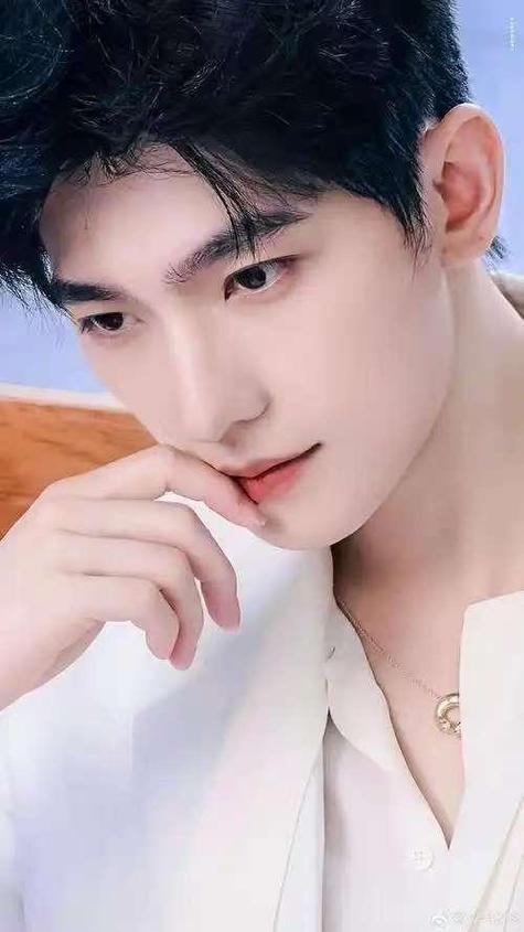中国男明星全部名单