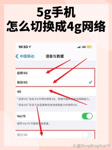 苹果手机换5G网怎么设置
