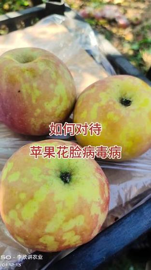 苹果中病毒了怎么办