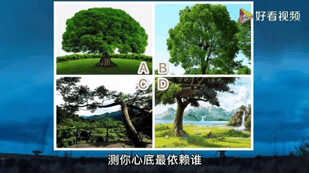 心理测试 森林