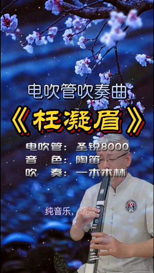 电吹管十大顶级神曲