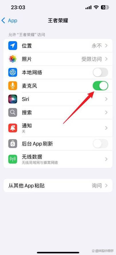 王者如何打开麦克风权限视频永久