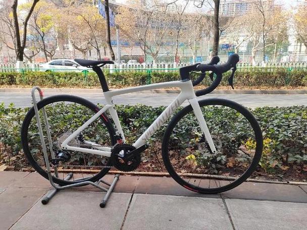 specialized什么档次