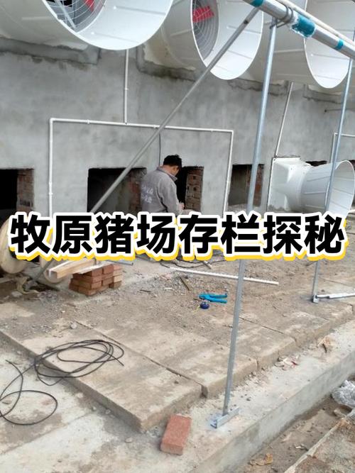 中国养猪场排名第一