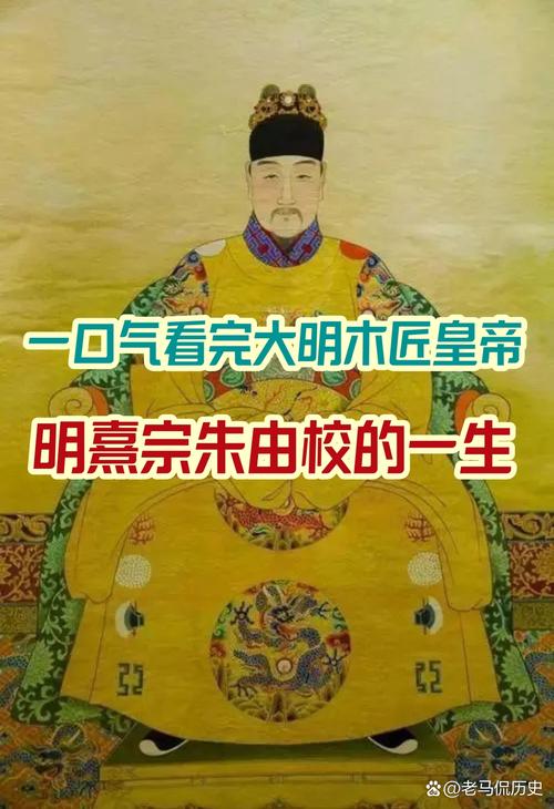 大明老子是木匠皇帝免费