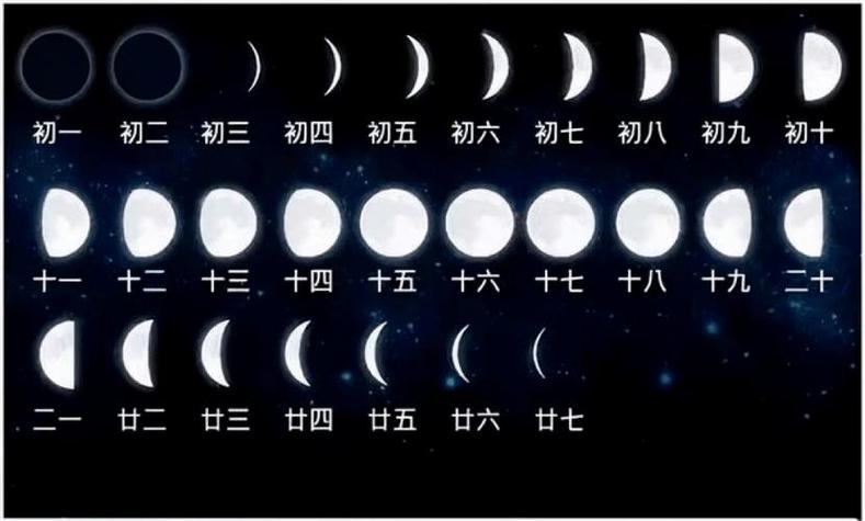 一月内月亮的变化图片
