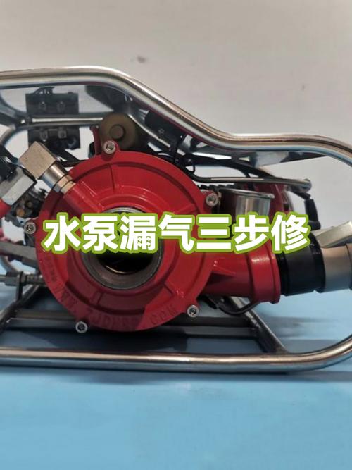 水泵漏气抽不上水什么原因