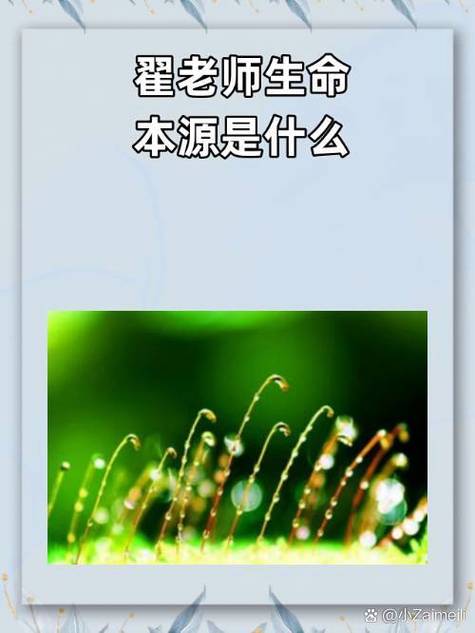 生物起源说和心理起源说