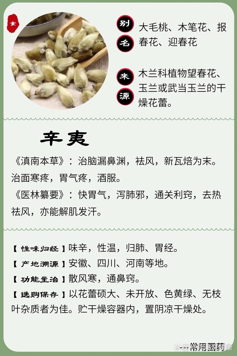 辛夷可以单独泡水喝吗