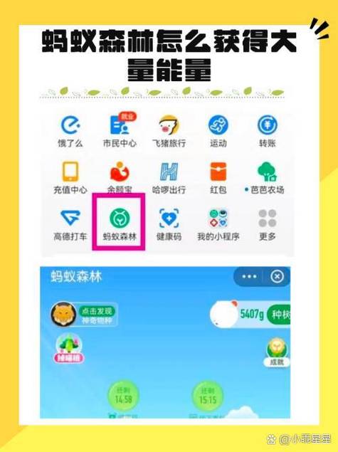 支付宝蚂蚁森林能量获取攻略