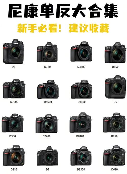 摄影新手如何快速使用单反