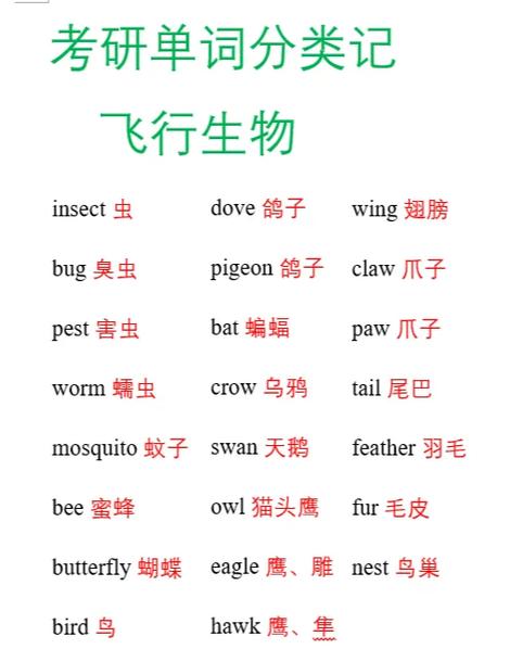 我的世界可以飞的生物