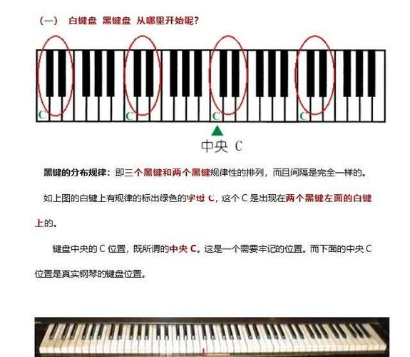 钢琴键黑键是什么用途