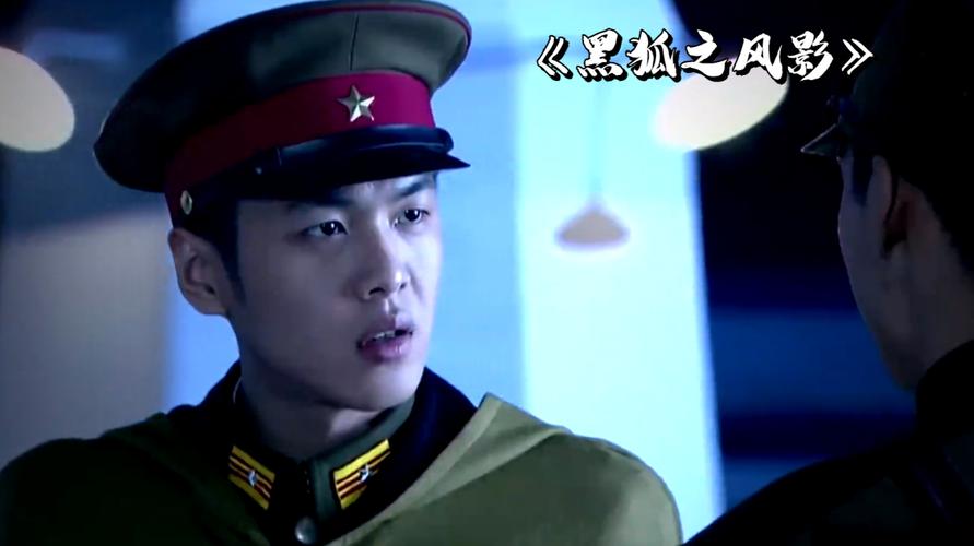 黑狐影院免费观看在线电视剧