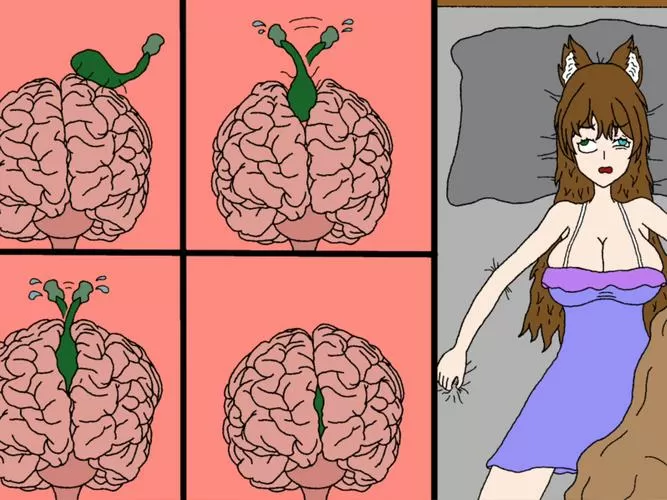 寄生虫寄生控制二次元女子的大脑